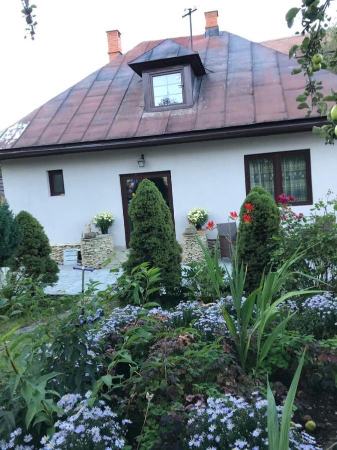 Casa Maria Bran (Brasov) Exterior foto