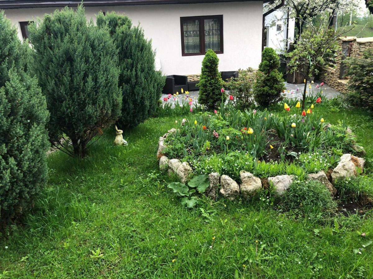 Casa Maria Bran (Brasov) Exterior foto